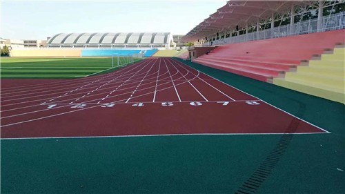 塑膠跑道案例大連外國(guó)語(yǔ)學(xué)院